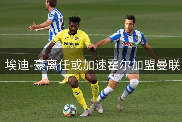 埃迪-豪离任或加速霍尔加盟曼联，纽卡斯尔面临重建危机