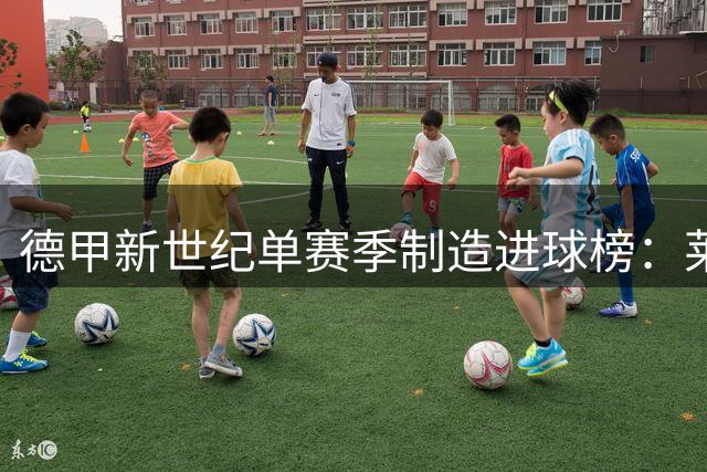 德甲新世纪单赛季制造进球榜：莱万第一凯恩紧随